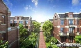 重生边缘最新爆料剧情解析,揭秘剧情高潮转折，命运轮回再续前缘