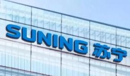 苏宁家乐福最新爆料信息,揭秘全新战略布局与未来市场动向