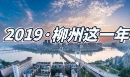 柳州爆料热点事件最新,真相竟如此惊人！