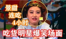 景甜节目爆料大全最新,揭秘明星幕后故事与真实情感